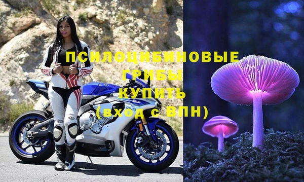 эйфоретик Беломорск